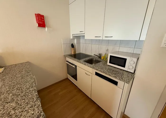 1br Flat In The Center - Crown 3 Zürich