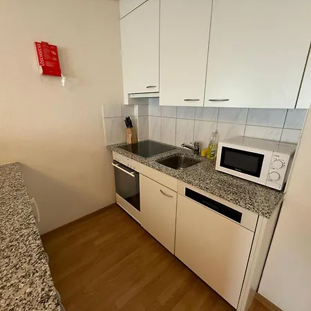 1br Flat In The Center - Crown 3 Zúrich